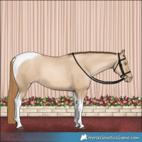 Horse Color:Red Dun Pearl Tobiano
