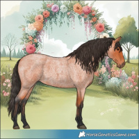 Horse Color:Bay Roan 