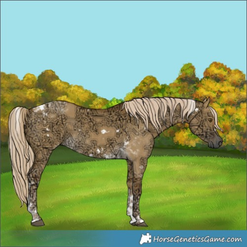 Horse Color:White Spotted Chocolate Palomino Ice Dun Mushroom Tobiano 