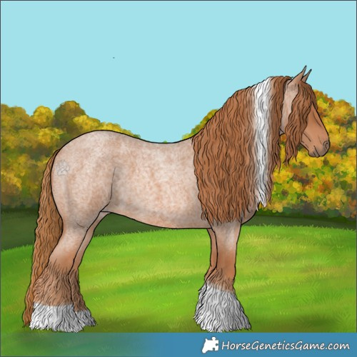 Horse Color:Red Roan Tobiano 