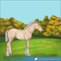 Horse Color:Palomino Pearl Tobiano