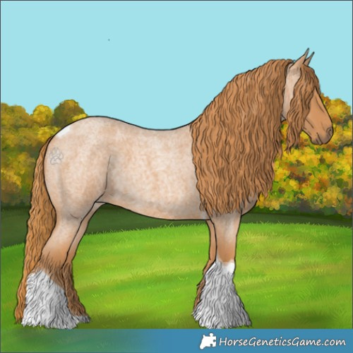 Horse Color:Red Roan Tobiano