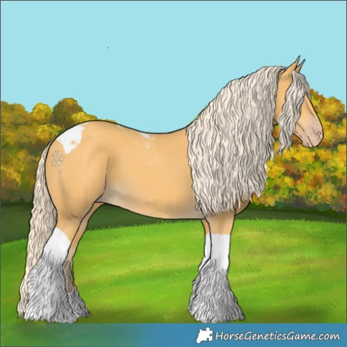Horse Color:Gold Cream Champagne Tobiano
