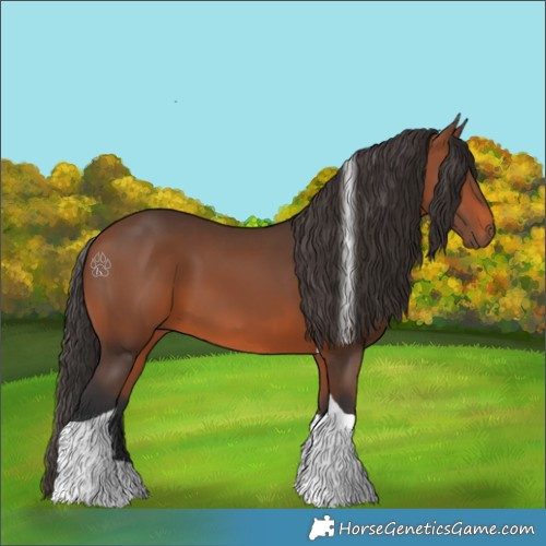 Horse Color:Bay Tobiano