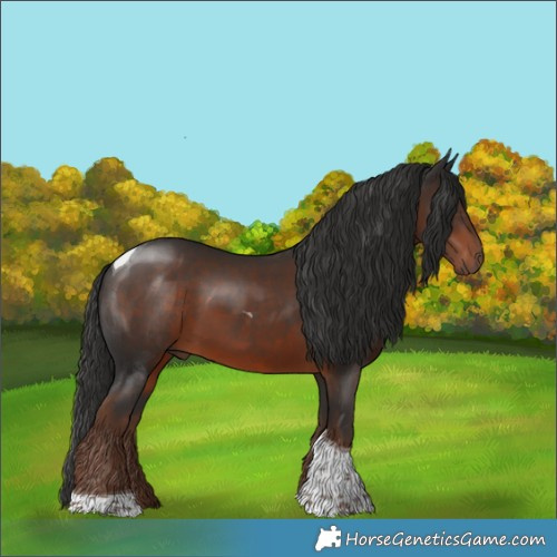 Horse Color:Liver Chestnut Tobiano 