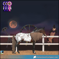 Horse Color:Liver Chestnut Near Leopard Rabicano