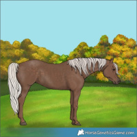 Horse Color:Silver Black 
