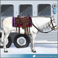 Horse Color:Palomino Dun Varnish 