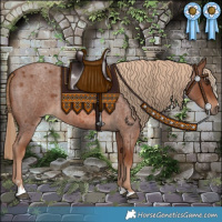 Horse Color:Red Roan 
