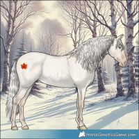 Horse Color:Silver Perlino Roan Dun 