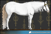 Horse Color:Buckskin Dun Tobiano Near Fewspot 