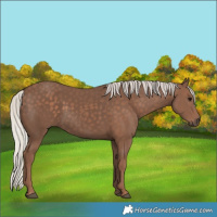 Horse Color:Silver Black 