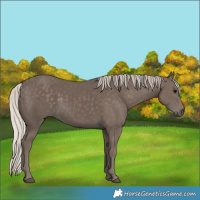 Horse Color:Silver Black 