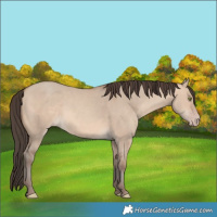 Horse Color:Sable Champagne Dun 
