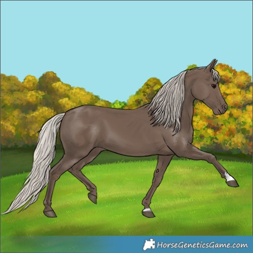 Horse Color:Silver Black 