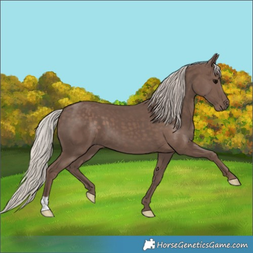 Horse Color:Silver Black 