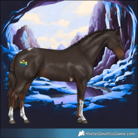 Horse Color:Liver Chestnut Tobiano 