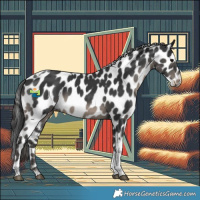 Horse Color:Black Tobiano Leopard 