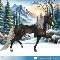 Horse Color:Midnight Silver Black Ice Frame 