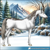 Horse Color:Midnight Chestnut Ice Sabino Frame
