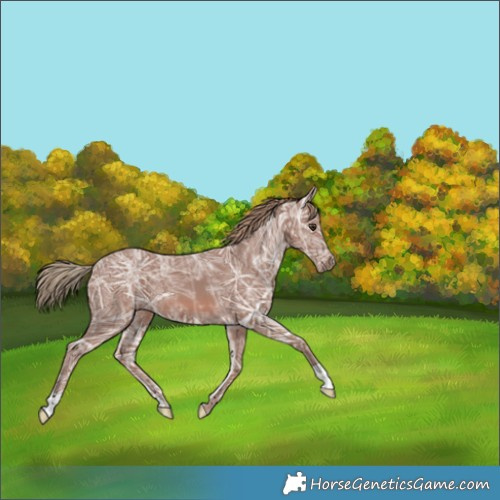 Horse Color:Chestnut Ice 