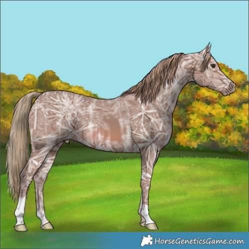Horse Color:Chestnut Ice 