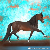 Horse Color:Brown 