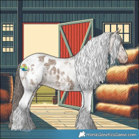 Horse Color:White Spotted Liver Red Dun Ice Tobiano Appaloosa 