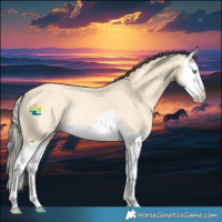 Horse Color:Amber Cream Champagne Splash Rabicano 