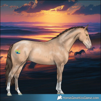 Horse Color:Amber Champagne 