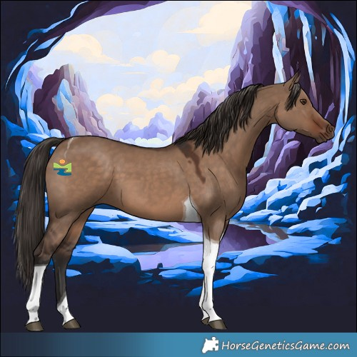 Horse Color:Liver Red Dun Tobiano 