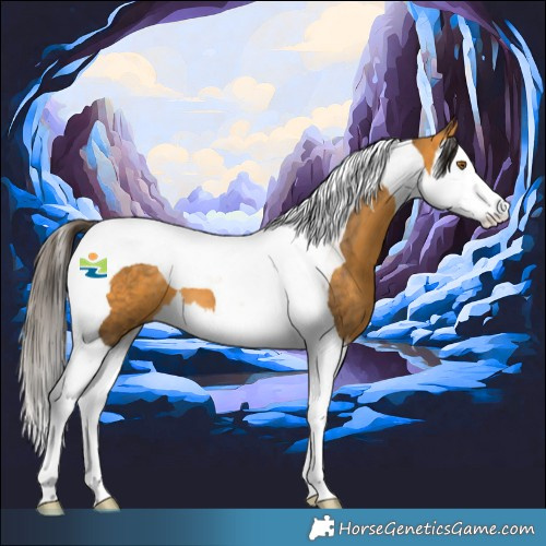Horse Color:Buckskin Splash Tobiano 