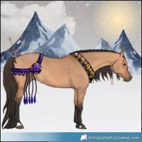 Horse Color:Bay Dun 
