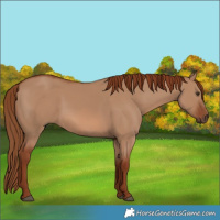 Horse Color:Red Dun