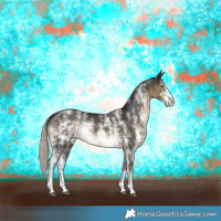 Horse Color:Silver Smoky Black Sabino Rabicano 