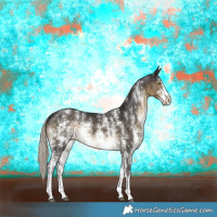 Horse Color:Silver Smoky Black Sabino Rabicano