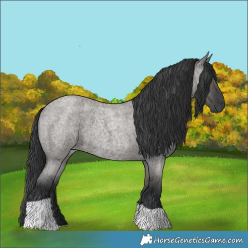 Horse Color:Grullo Roan Tobiano