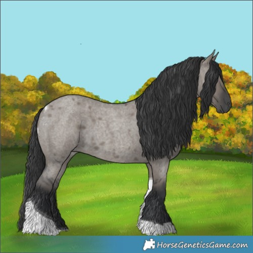 Horse Color:Grullo Roan Tobiano