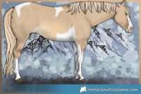 Horse Color:Chocolate Palomino Dun Splash Tobiano 