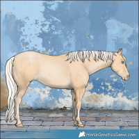 Horse Color:Silver Buckskin Pearl Rabicano 