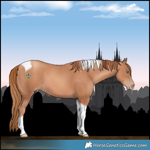 Horse Color:Gold Champagne Tobiano 