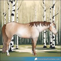 Horse Color:Gray Amber Champagne Pearl 