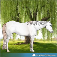 Horse Color:Gray Amber Cream Champagne Pearl 