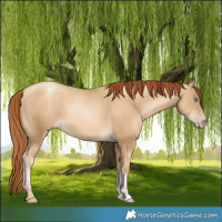 Horse Color:Gray Amber Cream Champagne Pearl