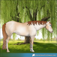 Horse Color:Gray Amber Cream Champagne Pearl 