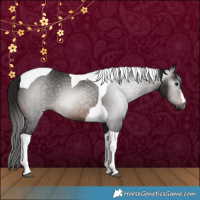 Horse Color:Gray Bay Tobiano 