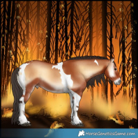 Horse Color:Bay Onyx Tobiano 