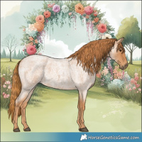 Horse Color:Red Roan