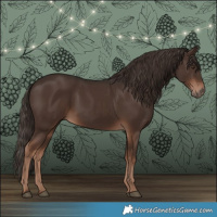 Horse Color:Liver Chestnut 