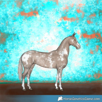Horse Color:White Spotted Silver Grullo Sabino Rabicano